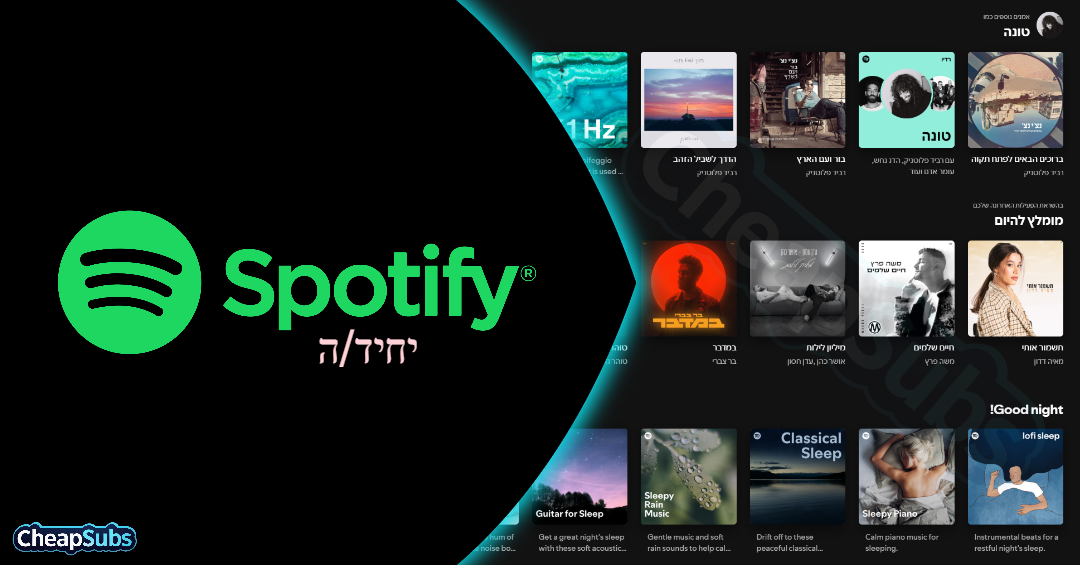 12 חודשים - Spotify Premium