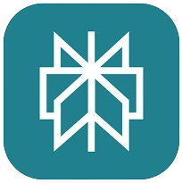 Perplexity אייקון